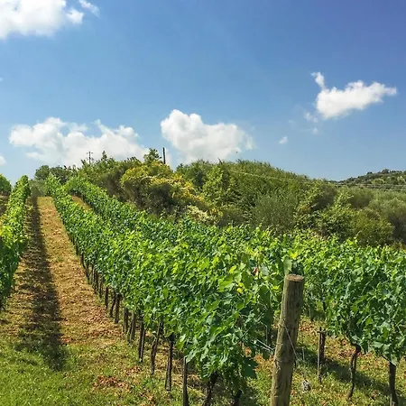 Holiday home 1 Bedroom Cozy In Montegiovi